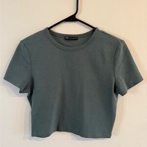 Zara Large Crop Top